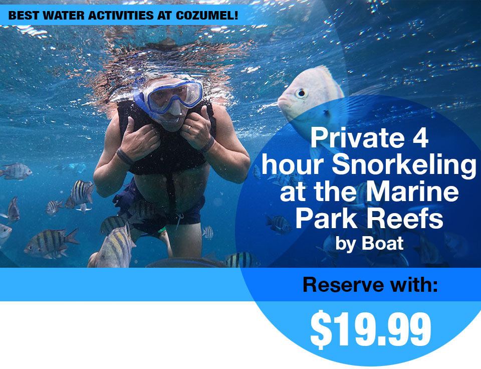 Private 4 Hour Snorkeling at the Marine Park Reefs by Boat