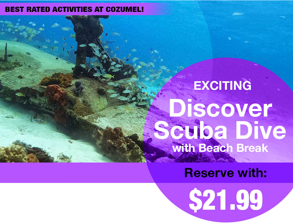 Discover Scuba Dive with Beach Break