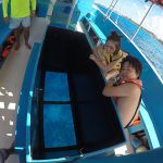 stc-id0001-snorkeling-by-vip-glass-bottom-boat-cubana-at-cozumel-05
