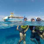 stc-id0001-snorkeling-by-vip-glass-bottom-boat-cubana-at-cozumel-07