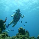 stc-id0053-scuba-diving-basic-2-tanks-at-cozumel-starting-from-cancun-03