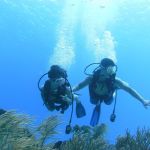 stc-id0053-scuba-diving-basic-2-tanks-at-cozumel-starting-from-cancun-05
