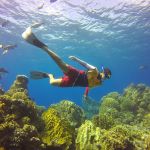 stc-id0073-double-reef-snorkel-el-cielo-and-playa-mia-by-catamaran-at-cozumel-starting-from-cancun-00-cover