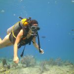 stc-id0031-discover-scuba-diving-1-tank-at-cozumel-starting-from-riviera-maya-00-cover