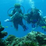 stc-id0047-scuba-diving-basic-1-tank-at-cozumel-starting-from-riviera-maya-01