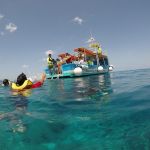 stc-id0005-snorkeling-by-vip-glass-bottom-boat-at-cozumel-starting-from-playa-del-carmen-with-beach-break-and-lunch-02