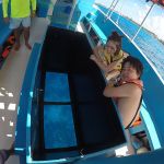 stc-id0005-snorkeling-by-vip-glass-bottom-boat-at-cozumel-starting-from-playa-del-carmen-with-beach-break-and-lunch-09