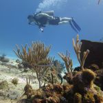 stc-id0027-discover-scuba-diving-1-tank-at-cozumel-starting-from-playa-del-carmen-05