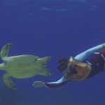 stc-id0071-double-reef-snorkel-el-cielo-and-playa-mia-by-catamaran-at-cozumel-starting-from-playa-del-carmen-05
