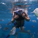 stc-id0169-private-4-hour-snorkeling-at-the-marine-park-reefs-02