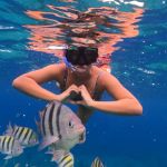 stc-id0169-private-4-hour-snorkeling-at-the-marine-park-reefs-04
