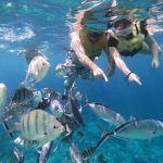 stc-id0171-snorkeling-at-colombia-palancar-and-el-cielo-for-cruise-ship-passengers-by-boat-02