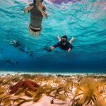 stc-id0171-snorkeling-at-colombia-palancar-and-el-cielo-for-cruise-ship-passengers-by-boat-05
