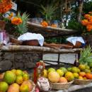 stc-id0197-tankah-cenotes-tour-starting-from-playa-del-carmen-07_original
