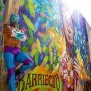 stc-id0181-lucha-libre-meet--greet-package-05_original