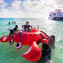 stc-id0269-snorkel-at-capitan-tequila-to-el-cielo-05_original