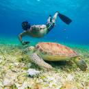 stc-id0281-santuario-de-tortugas-y-el-cielo-en-catamaran-poseidon-03_original